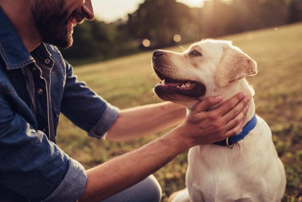 A cheerful man plays wit his Labrador dog in a park